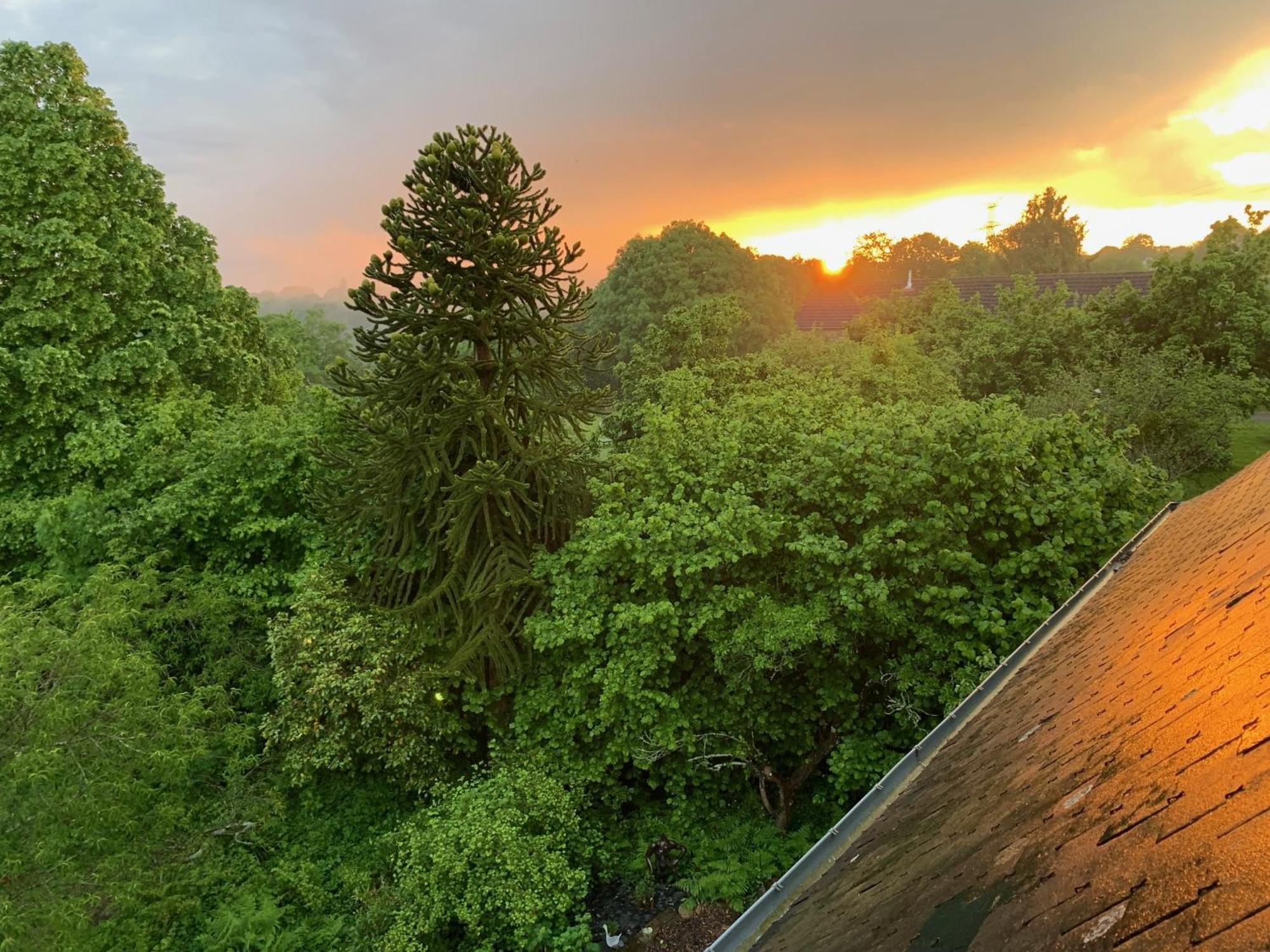 Le Petit Manoir Bed and Breakfast Isigny-le-Buat Buitenkant foto